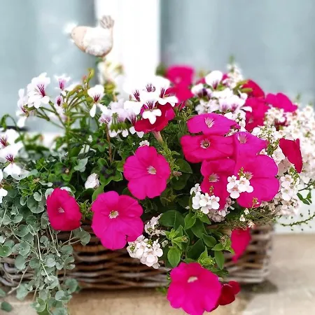 Côté Poules Bed & Breakfast Quesnoy-sur-Airaines